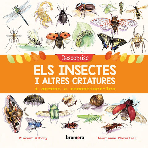  DESCOBRISC ELS INSECTES I ALTRES CRIATURES I APRENC A RECONÉIXER-LES 