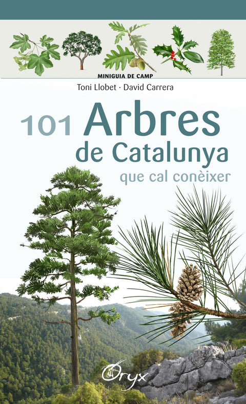  101 ARBRES DE CATALUNYA 
