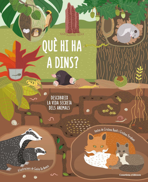  QUÉ HI HA DINS? 