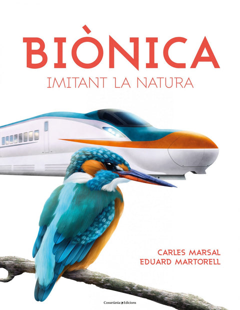 BIÓNICA 