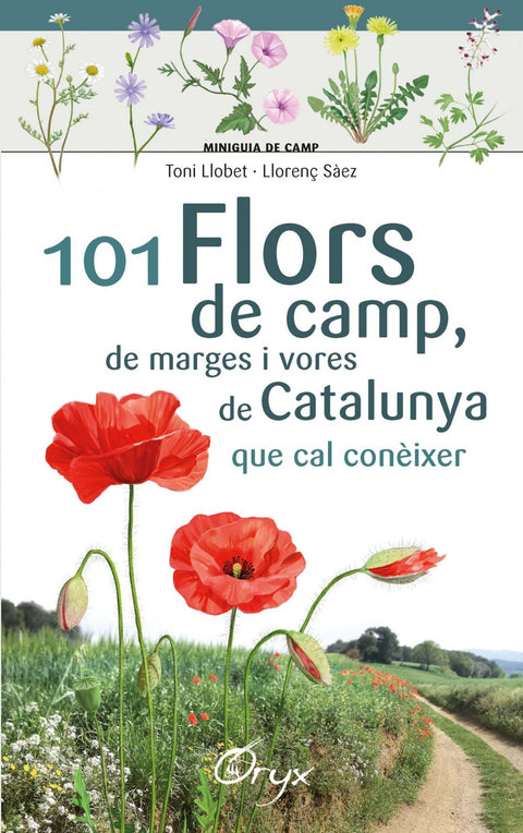 101 FLORS DE CAMP, DE MARGES I VORES DE CATALUNYA 