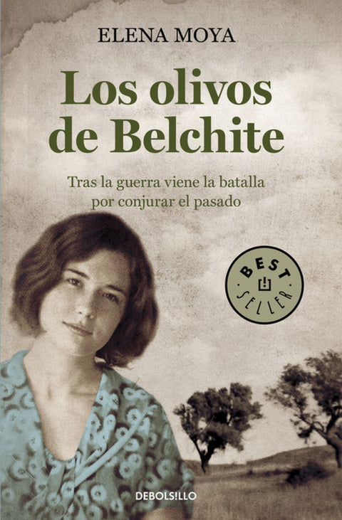  Los olivos de Belchite 