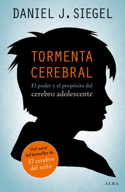  Tormenta cerebral 