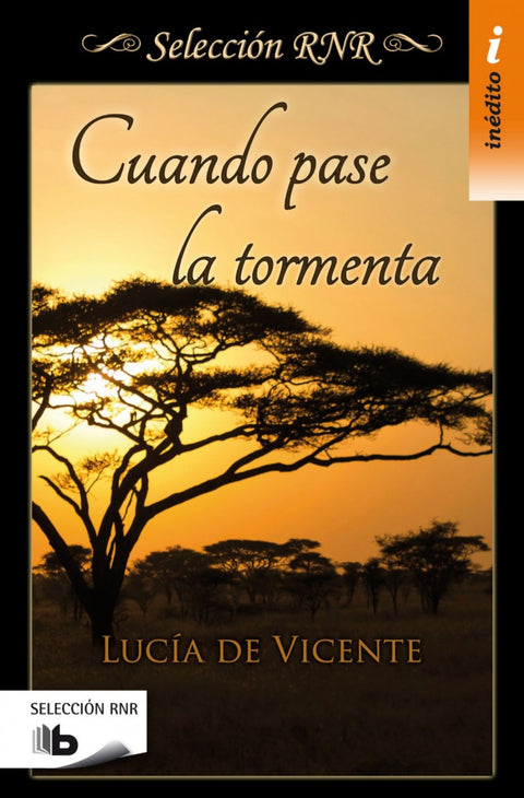  CUANDO PASE LA TORMENTA 