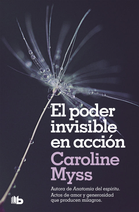  EL PODER INVISIBLE EN ACCIÓN 