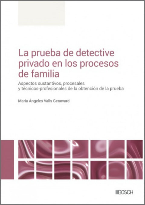  La prueba de detective privado en los procesos de familia 