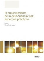 El enjuiciamiento de la delincuencia vial: aspectos prácticos 