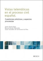  Las vistas telemáticas en el proceso civil español 