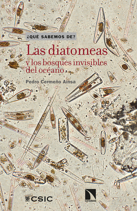  Las diatomeas y los bosques invisibles del océano 