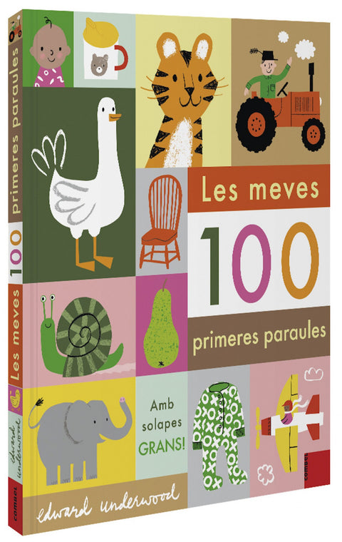 Les meves 100 primeres paraules 