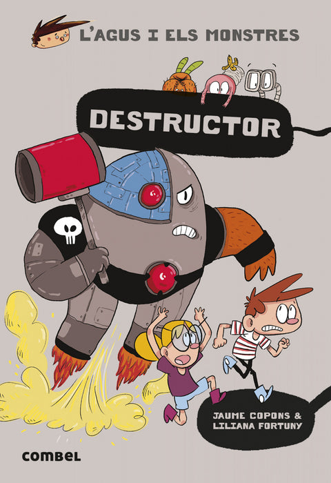  Destructor 