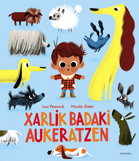  XARLIK BADAKI AUKERATZEN EUSKERA 