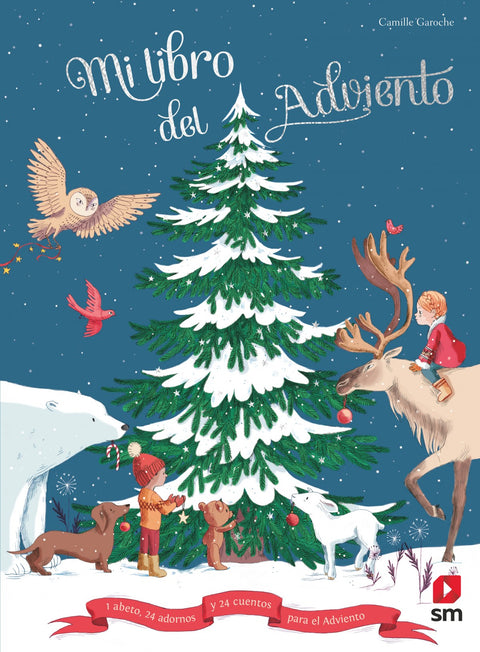  MI LIBRO DEL ADVIENTO 