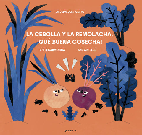  LA CEBOLLA Y LA REMOLACHA, QUÉ BUENA COSECHA! 
