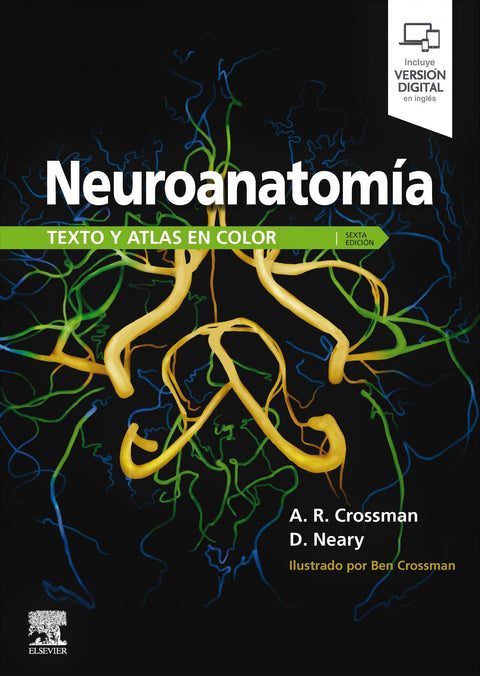  NEUROANATOMÍA 