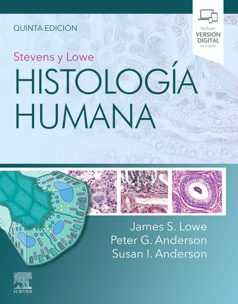  Stevens y Lowe. Histología humana (5ª ed.) 
