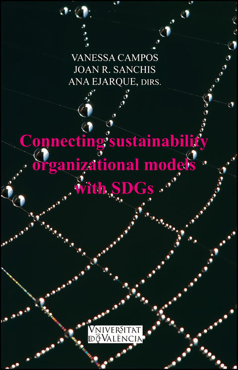  Connecting Sustainability Organizational Models with SDGs 