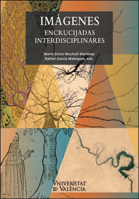  IMAGENES. ENCRUCIJADAS INTERDISCIPLINARES 