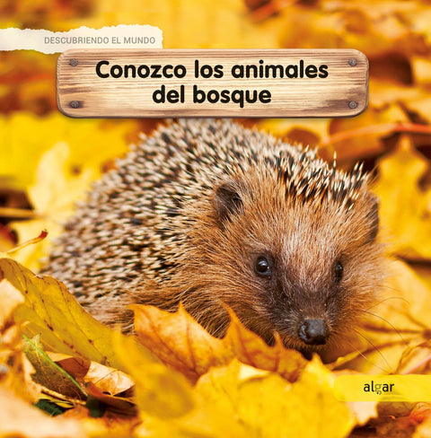  CONOZCO LOS ANIMALES DEL BOSQUE 