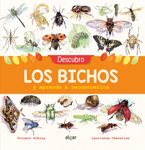  DESCUBRO LOS BICHOS Y APRENDO A RECONOCERLOS 