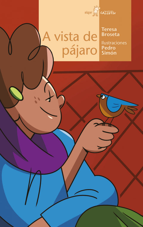  A VISTA DE PÁJARO 