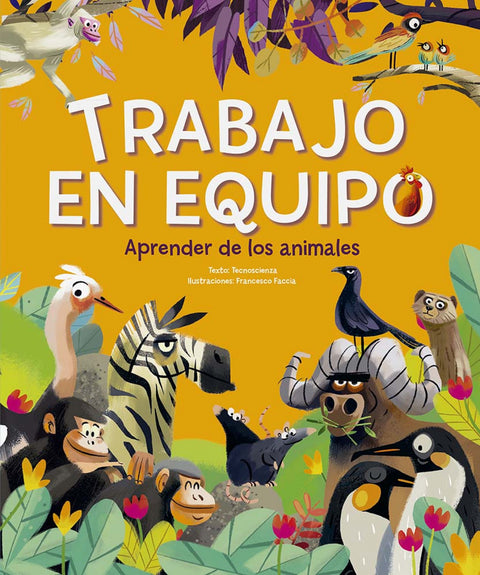  Trabajo en equipo 