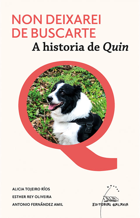  Non deixarei de buscarte. A historia de Quin 