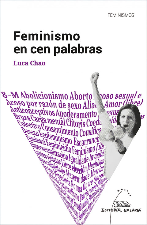  Feminismo en cen palabras 