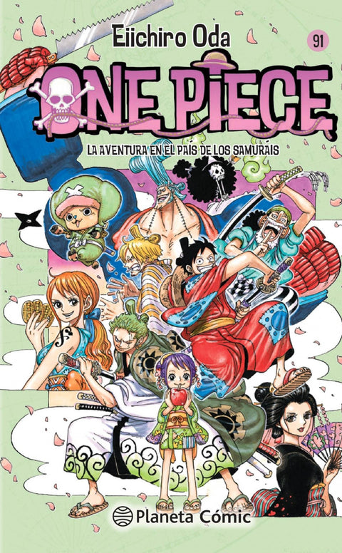 One Piece nº 91 