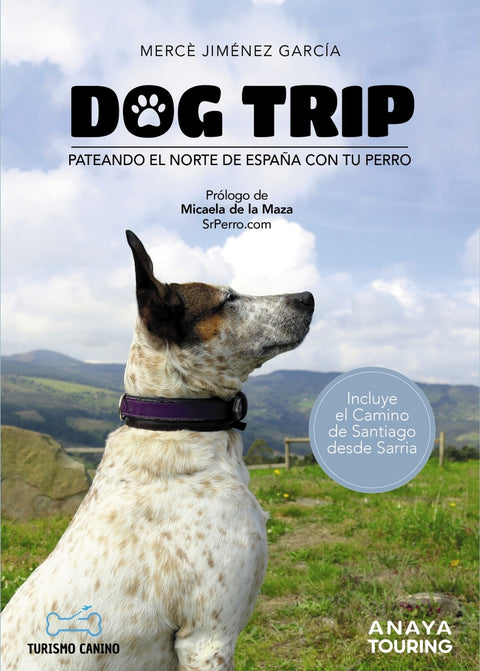  Dog trip - Pateando el norte de España con tu perro 