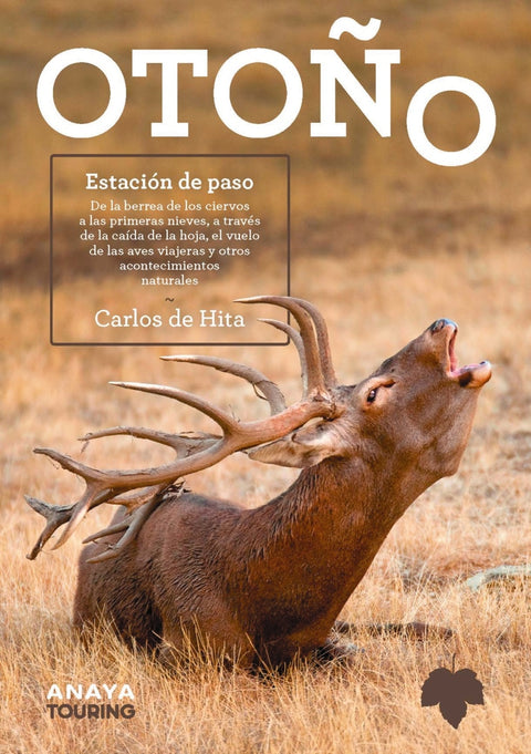  OTOÑO. Estación de paso 