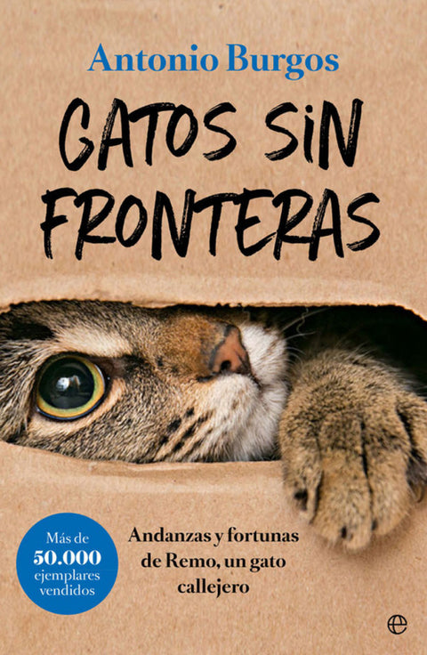  GATOS SIN FRONTERAS 