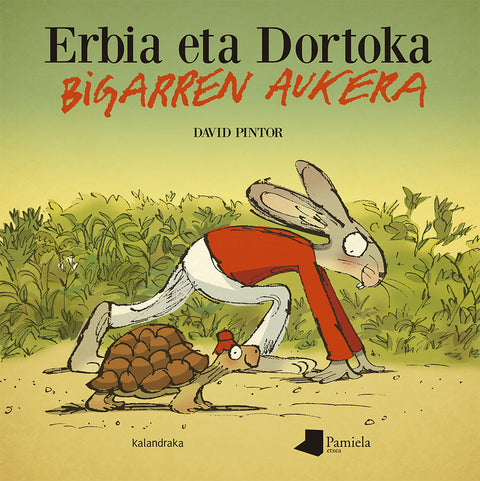  Erbia eta Dortoka. Bigarren aukera 