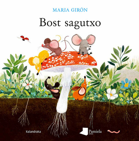  Bost sagutxo 