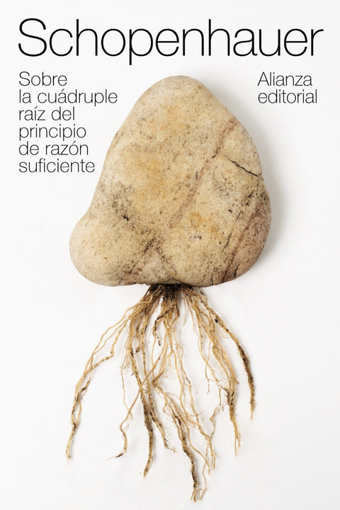  SOBRE LA CUÁDRUPLE RAÍZ DEL PRINCIPIO DE RAZÓN SUFICIENTE 