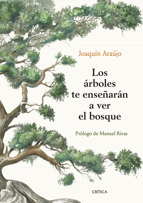  Los árboles te enseñarán a ver el bosque 