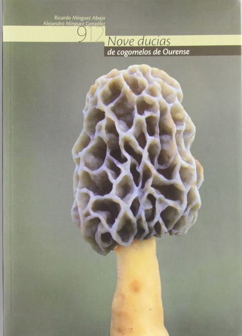  Nove ducias de cogomelos de Ourense 