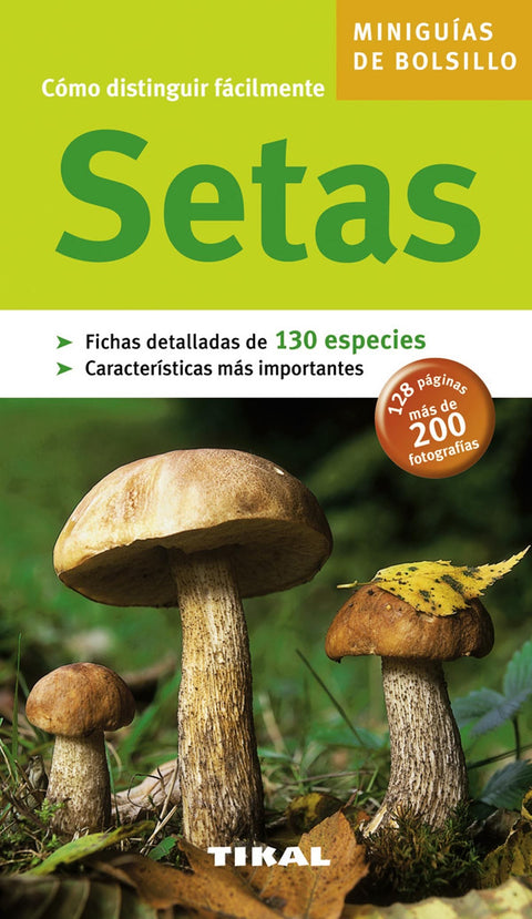  Setas 