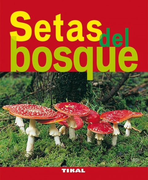  Setas del bosque 