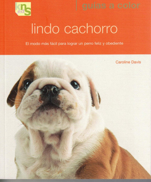  Lindo cachorro 
