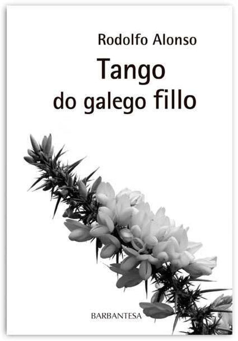  Tango do galego fillo 