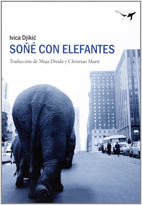  Soñé con elefantes 