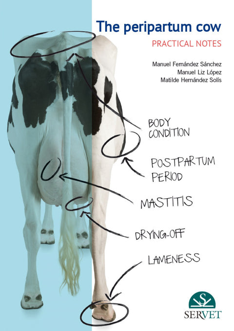  The peripartum cow: practical notes 