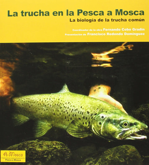  La trucha en la pesca a mosca 