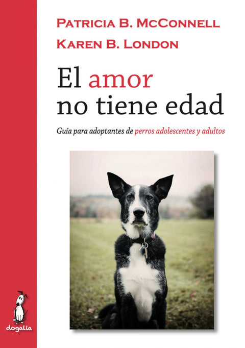  El amor no tiene edad 