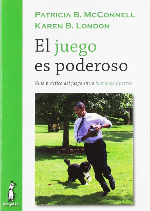  EL JUEGO ES PODEROSO 