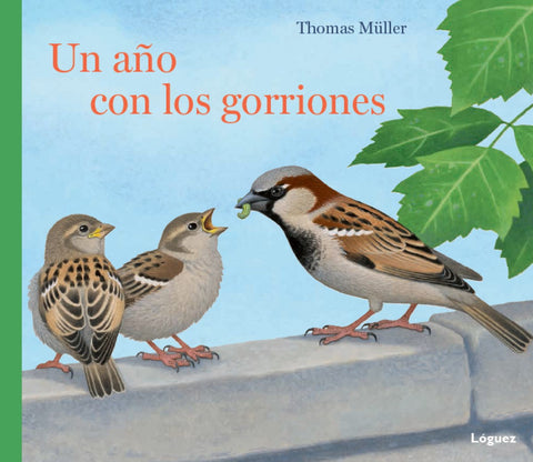  Un Año Con Los Gorriones (Desde 5 Años) (Cartone) 