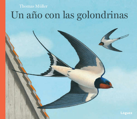  Un Año Con Las Golondrinas (Desde 5 Años) (Cartone) 