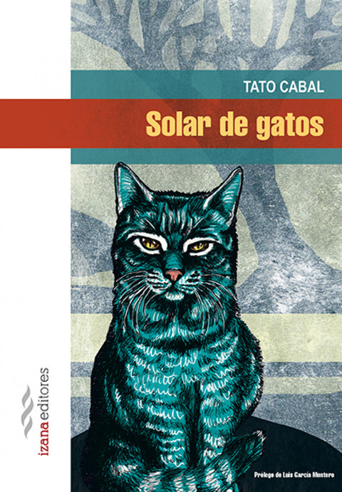  Solar de gatos 