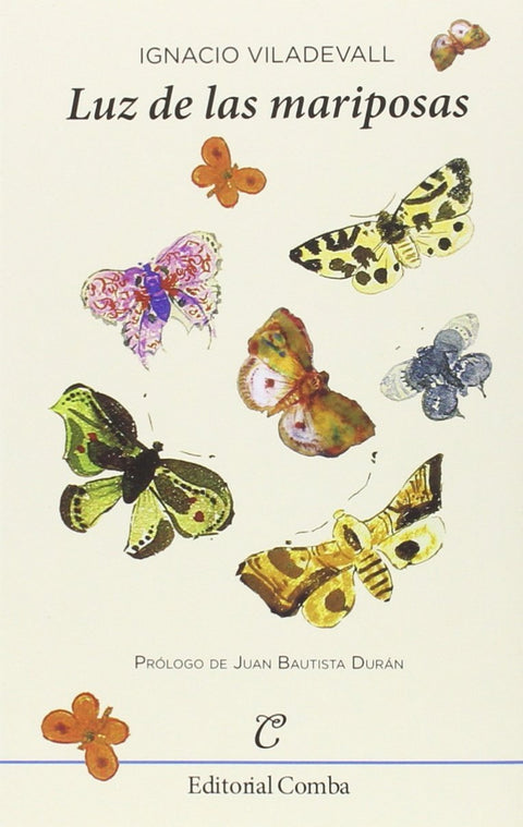  Luz de las mariposas 